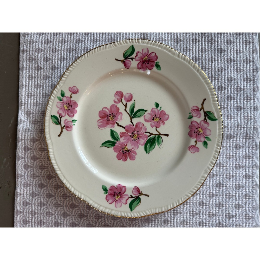 Vintage Homer Laughlin Apple Blossom Dinner Plates Set of 2 Pink Floral Gold Rim